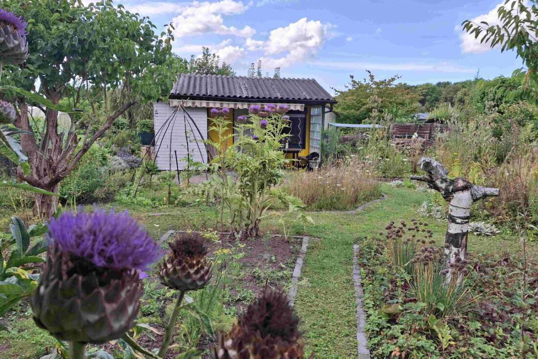 Naturgarten_KGV_Bellerstrasse