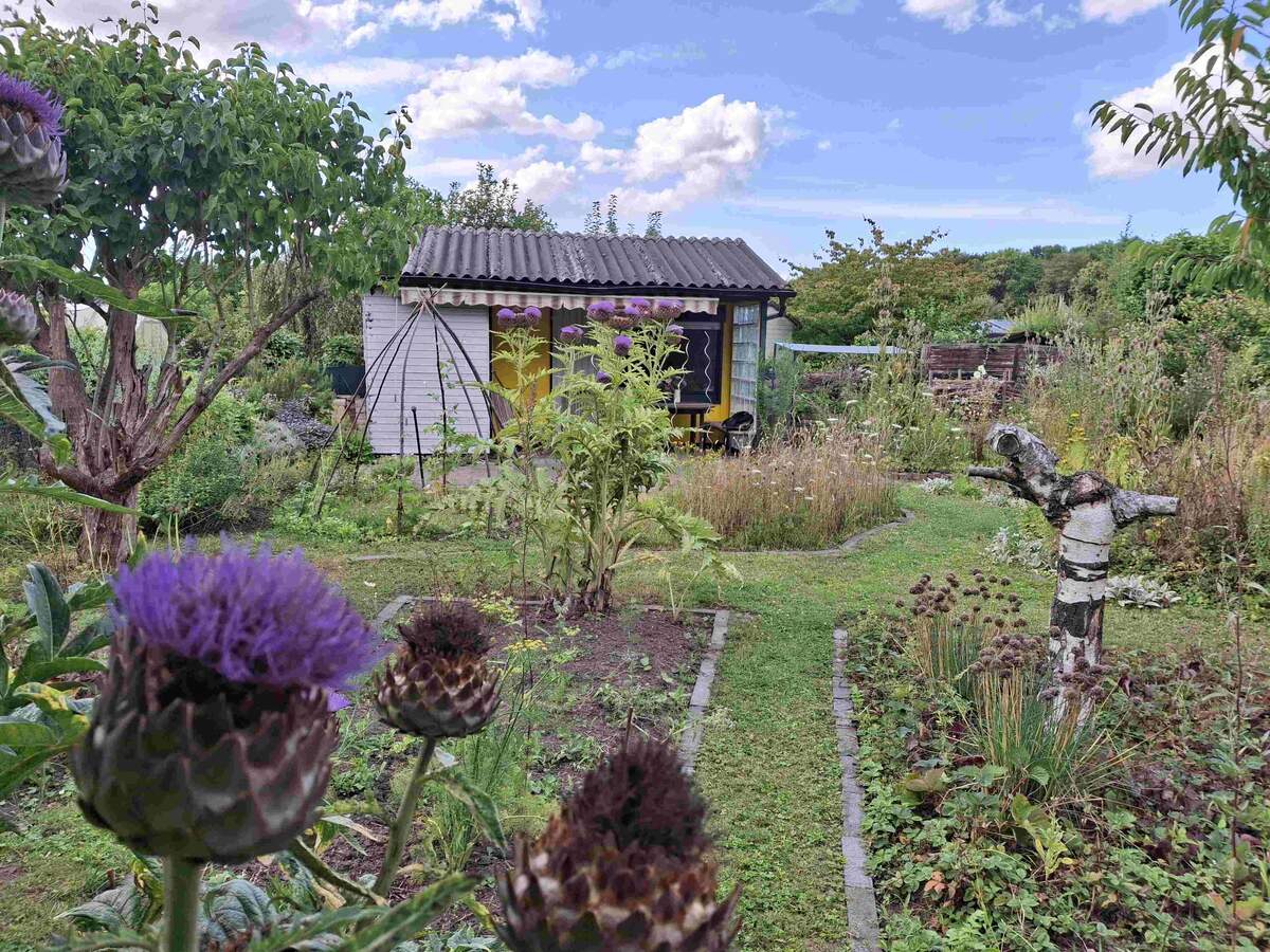 Naturgarten_KGV_Bellerstrasse