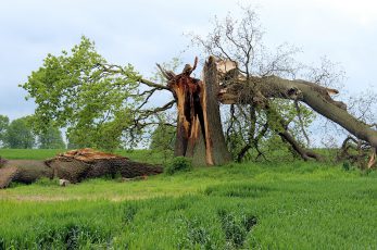 storm-damage-597217_1280